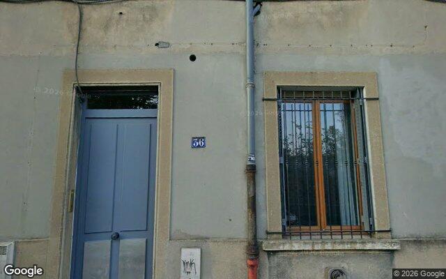 Façade : 36 avenue Paul Krüger, Villeurbanne